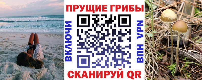 Псилоцибиновые грибы Psilocybe  Купить  Кулебаки 